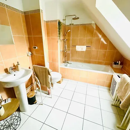 Moto Gp, 24h Du Mans, Classic 2026 لو مان