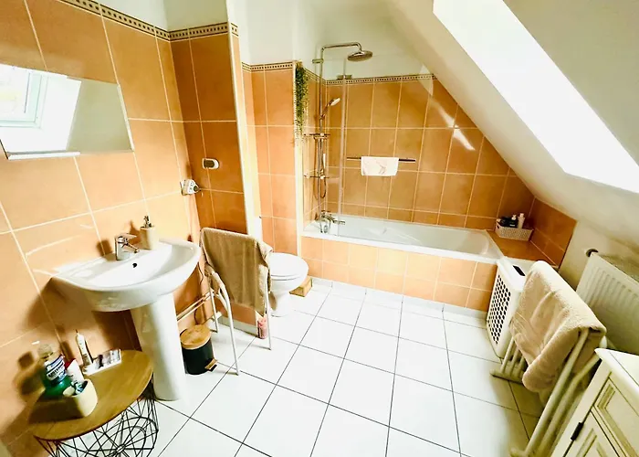 Moto Gp, 24h Du Mans, Classic 2026 Le Mans